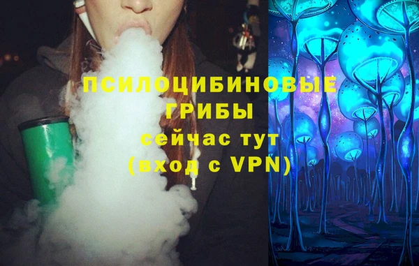 МДПВ Алексин