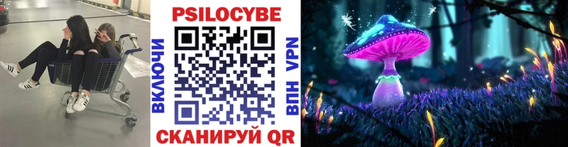 Галлюциногенные грибы MAGIC MUSHROOMS  Северская 